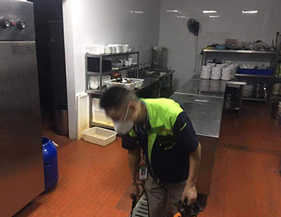 中餐厅厨房除虫