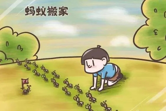 熊孩子喜欢动手抓昆虫？危险，住手！